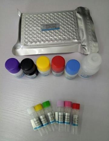 鸡痘病毒PCR试剂盒的应用