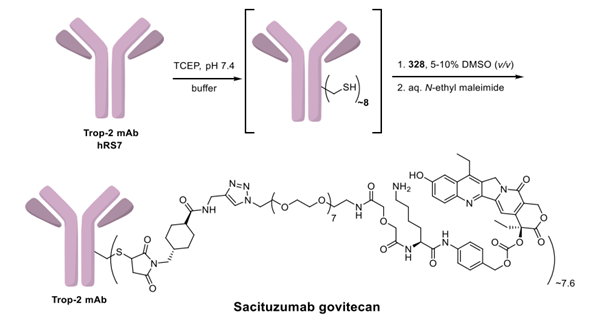 Sacituzumab Govitecan synthesis