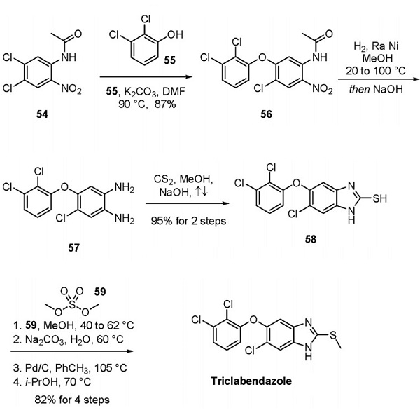 68786-66-3 TriclabendazoleCGA 89317CGP 23030anthelminticMechanism of actionSynthesis method