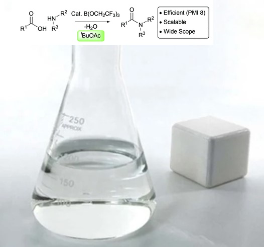 tert-Butyl acetate 