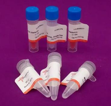 脑膜炎黄杆菌PCR试剂盒.png
