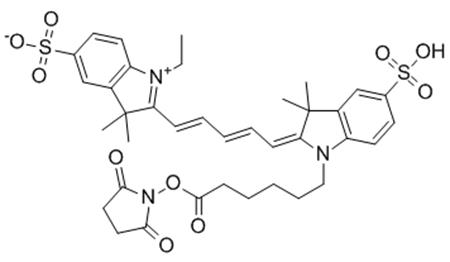 CY5-NHS酯在多肽标记中的应用