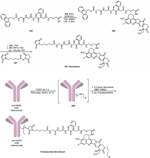 Trastuzumab Deruxtecan