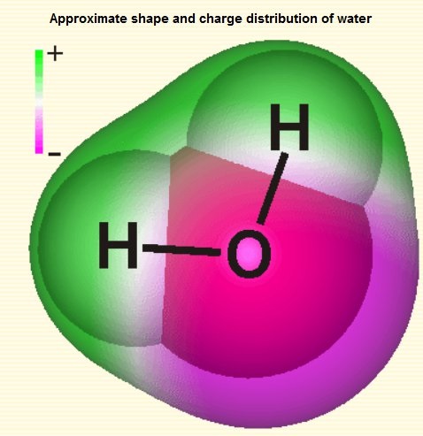 Charge Distribution of Water