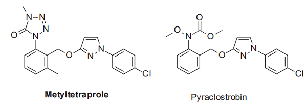 1472649-01-6 Metyltetraproleinhibitorquinone outside inhibitorSynthesis method