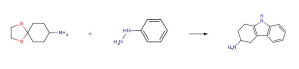 3-Amino-1,2,3,4-tetrahydrocarbazol synthesis