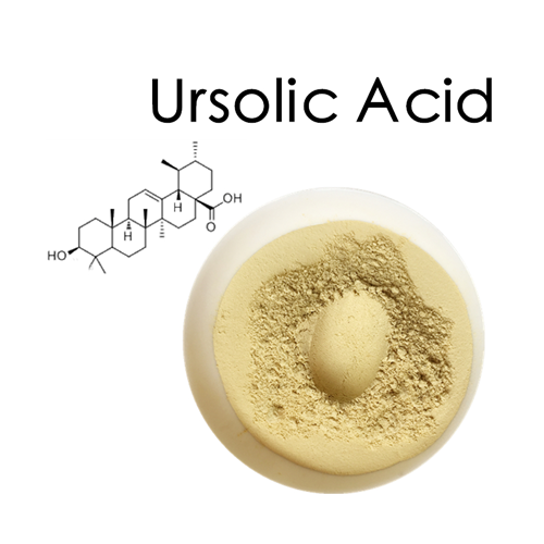 77-52-1 Ursolic acidweight lossbenefits