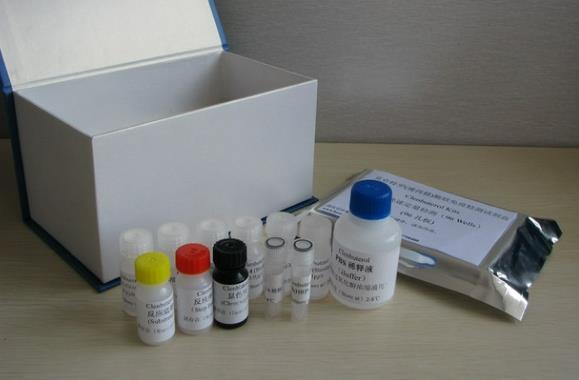 人γ干扰素(IFN-γ)Elisa试剂盒的应用