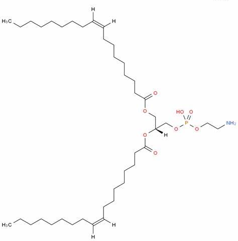 4004-05-1 1,2-Dioleoyl-sn-glycero-3-phosphoethanolamineUsesUses of 1,2-Dioleoyl-sn-glycero-3-phosphoethanola