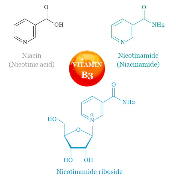 50-00-0 FormaldehydeCH2OcarcinogenLewis structuregas