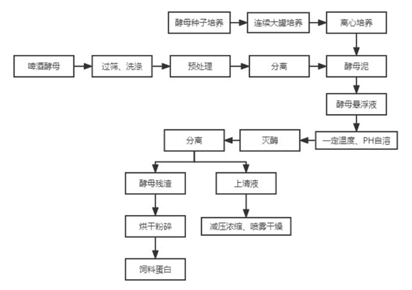 酵母抽提物生产流程.png