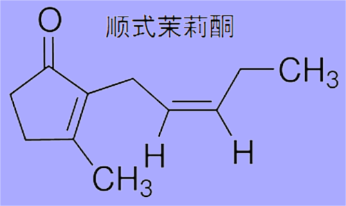 顺式茉莉酮.png