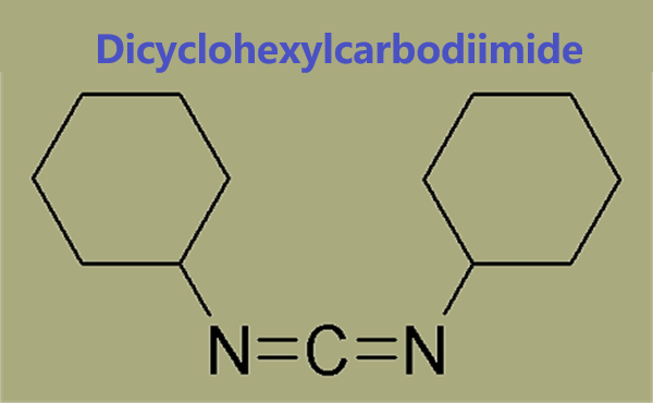 538-75-0 Dicyclohexylcarbodiimide4-(Dimethylamino)pyridineDifference