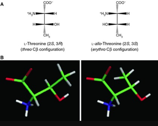 632-20-2 D-ThreonineL-Threoninethreonine 