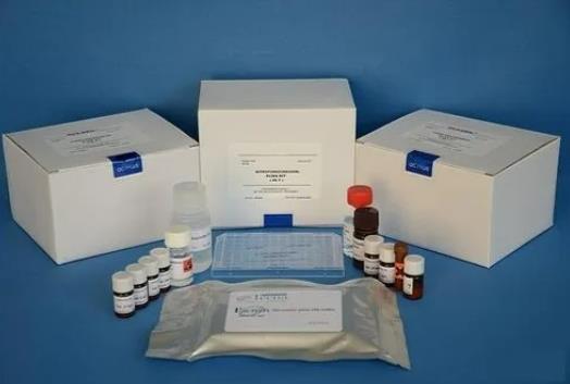 小鼠降钙素(CT)ELISA试剂盒的应用