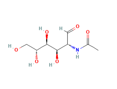 N-Acetylglucosamine.png