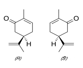 香芹酮的两种异构