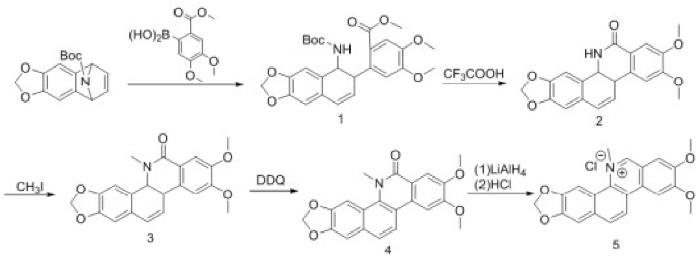 氯化两面针碱的合成.png