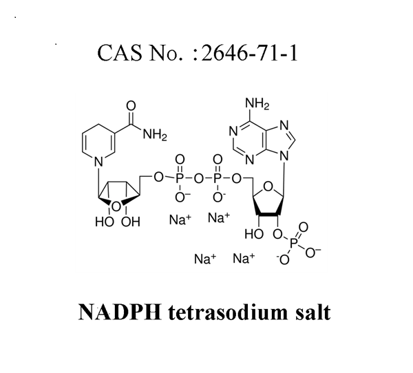 2646-71-1 Nadph tetrasodium saltIntroductionApplication