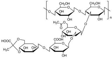 汉生胶的化学结构式