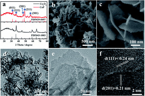 Fig. 1 (a) XRD patterns, (b and c) SEM images, (d and e) TEM images and (f) HRTEM images of CoP nanosheets. 