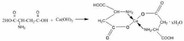 L-天门冬氨酸钙的合成.png