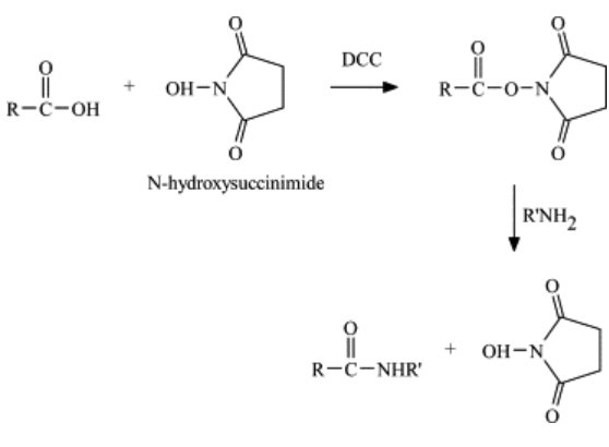 6066-82-6  N-HydroxysuccinimideN-hydroxysuccinimide esterNHS
