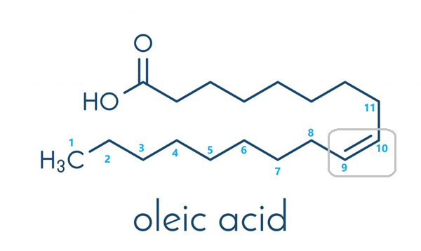 112-80-1 Oleic acidUnsaturated Fatty AcidHuman bodyOA
