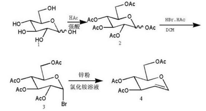 乙酰化葡萄烯糖合成路线