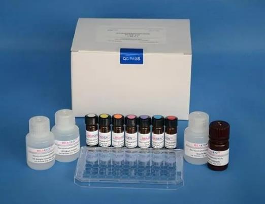 小鼠新生甲状腺素(NN-T4)ELISA试剂盒的应用