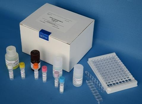 小鼠心钠肽(ANP)Elisa试剂盒.png