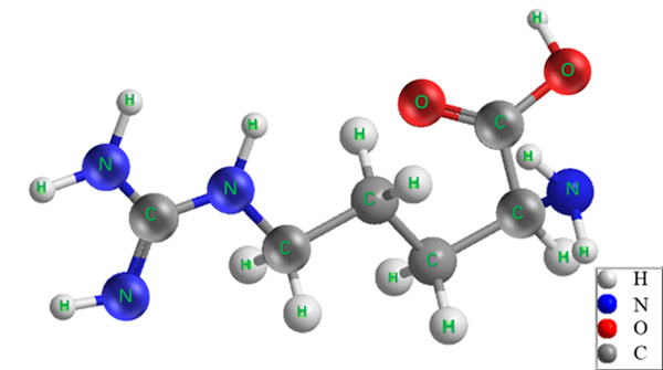 74-79-3 L(+)-Argininebenefitsmalesfemales