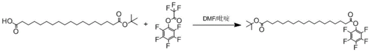 十八烷二酸单叔丁酯PFP制备