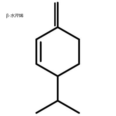 水芹烯