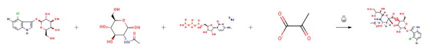 5-溴-4-氯-3-吲哚半乳糖苷的合成应用.png