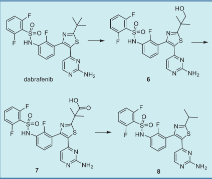 Major metabolic pathway of dabrafenib in  humans.