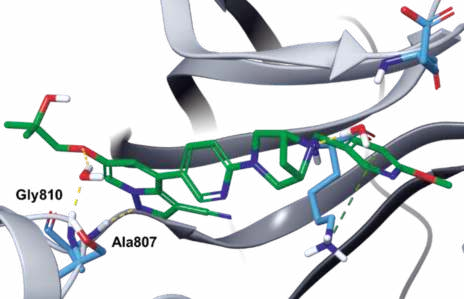 Figure 3. Co-crystal structure of selpercatinib–RET (PDB ID: 7JU6).