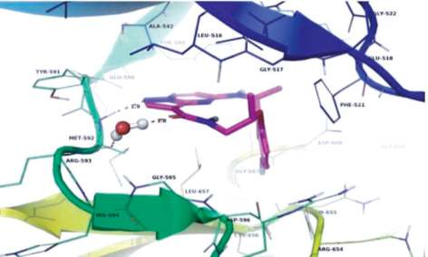 Figure 1. Docking of repotrectinib with TRKA.