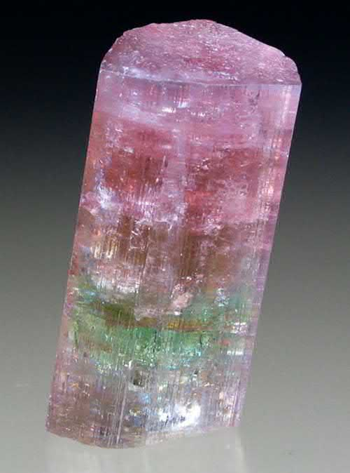 FIGURE 6. A 2 cm red to green zoned elbaite tourmaline, Na(Li1.5Al1.5)Al6(Si6O18)(BO3)3(OH)3(OH), terminated on one end.