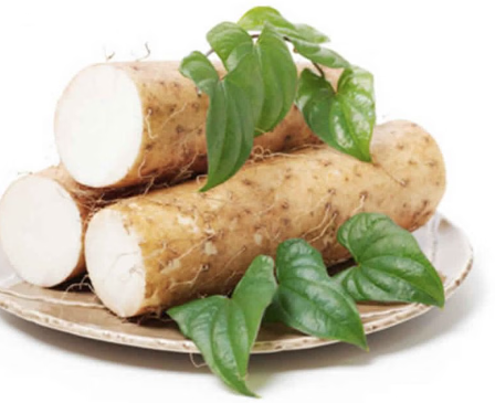 Wild Yam Extract