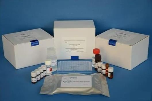 小鼠纤连蛋白(FN)Elisa试剂盒的应用