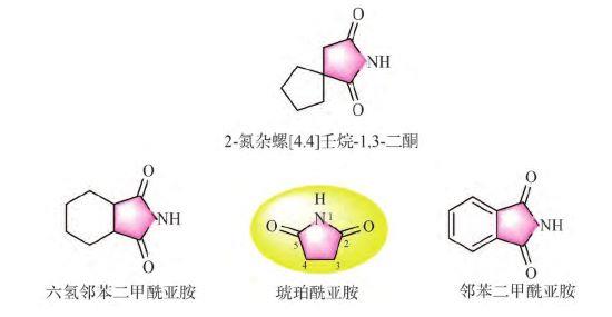 琥珀酰亚胺.jpg