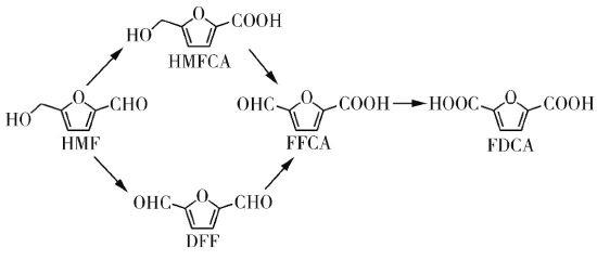通过HMF制备呋喃二甲酸的2种路线.jpg