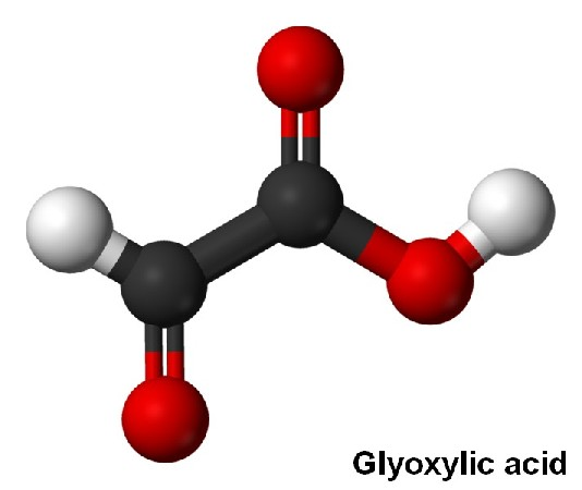 298-12-4 Glyoxylic acidGlycolic acidHair