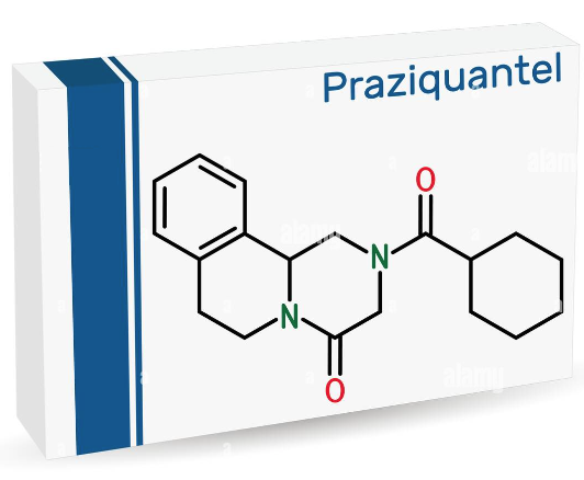 55268-74-1 Praziquantelpyrazino-isoquinolein derivativeIndicationsSide effects