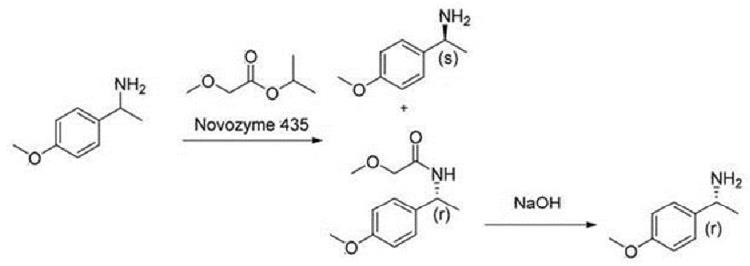 (R)-(+)-1-(4-甲氧基苯)乙胺的合成.png
