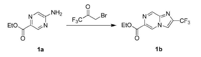 scheme-1.jpg