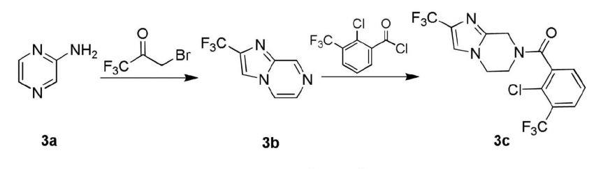 scheme-3.jpg