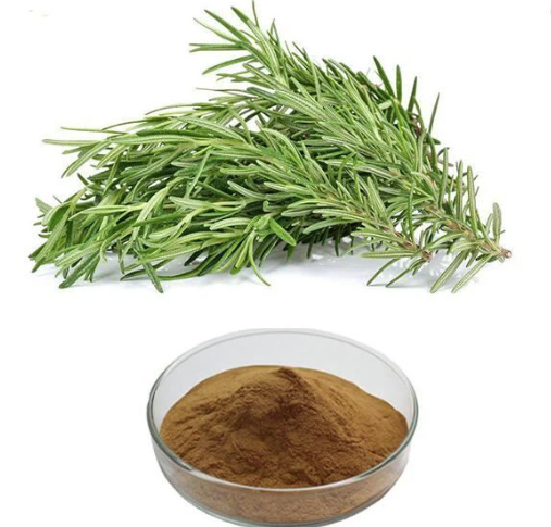 Rosemary extract