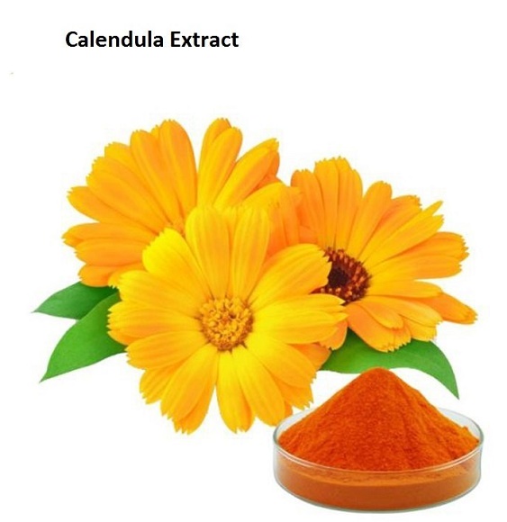 金盏花(CALENDULA OFFICINALIS)花提取物